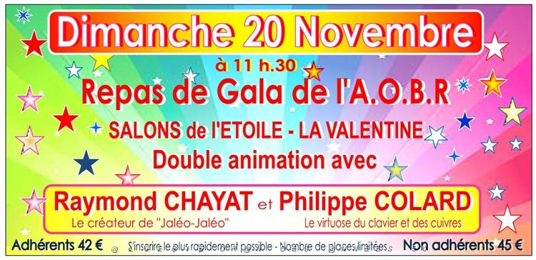 2016 11 20 MARSEILLE REPAS DE GALA AVEC L AOBR-AMBIANCE.jpg